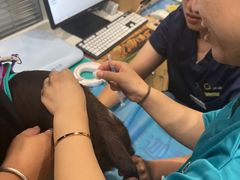-美迦爱-牙专科·兔科·骨科诊疗中心(北苑店)