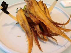 金品烤仔鱼-泓历皇朝酒店(东亭店)