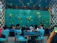 -瑞德姆美人鱼海底演艺主题餐厅(亚龙湾店)
