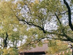 -西园戒幢律寺