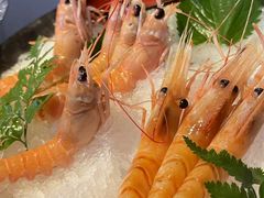 -Mr.Fish鱼鲜生海鲜放题(高德置地冬广场店)