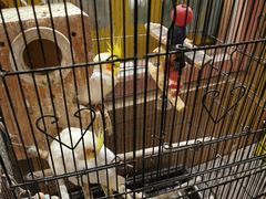 -后海16号·北京私房菜