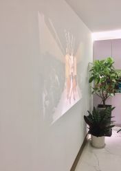 点击看大图 环境很棒-MVP-专业羽毛无痕接发