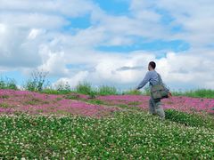 -白鹭湾湿地公园