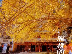 -大慈岩风景区