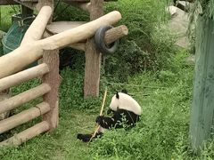 -沈阳森林动物园
