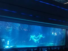 -海合安成都极地海洋公园