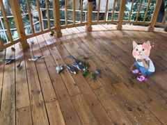 -南宫五洲植物乐园