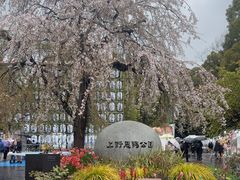 -上野公园花园稻荷神社(忍岡稲荷神社)