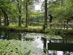 -东湖落雁景区