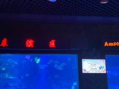 -太平洋海底世界