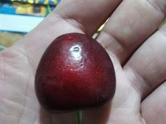 -上海龙吴水胜海发市场