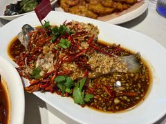 -杨氏青龙虾·羊蝎子(托乐嘉店)