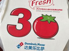 -达美乐比萨(双阳支路店)