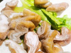 肥肠-六公里老火锅(总店)