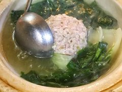 狮子头-丁老爷子苏香圆
