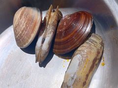-亚马逊海鲜自助(王府井店)