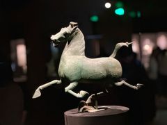 -甘肃省博物馆