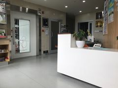 -谐和益家动物医院·免疫绝育·血液透析·宠保定点医院(高新伊藤分院)