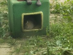 -青藏高原野生动物园