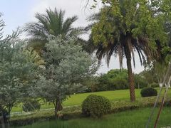 -府河摄影公园