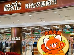 -哈尔信阳光农园超市(沈阳三台子万象汇店)