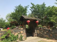 -鹅湖玫瑰文化园