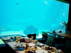 -海棠湾洲际-涛·海底餐厅·美人鱼·自助餐·海底隧道