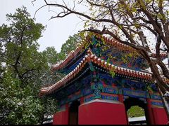 -北京国子监胡同