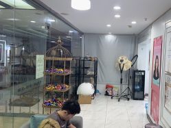 点击看大图 -镁连社·美联社
