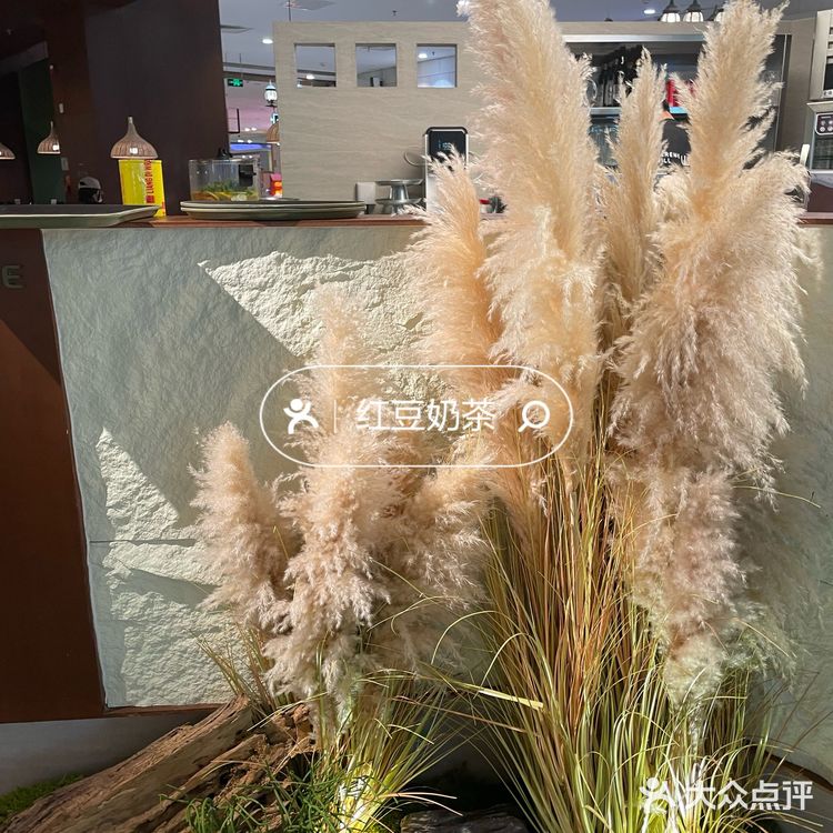 省钱33天 | 朝悦山缓缓火锅薅羊毛