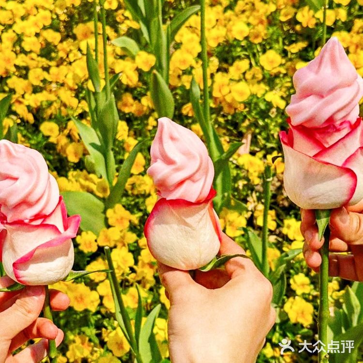 强推!外滩这家蟹黄面,鲜到我想原地封神