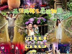 -正佳雨林生态植物园