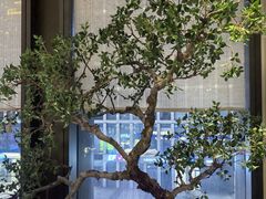 -潮上潮(南中环店)