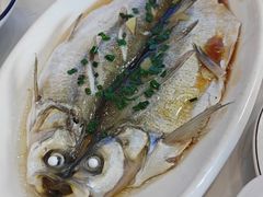 -蟹天蟹地农家菜·阳澄湖大闸蟹(浅水湾店)