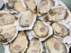 -千岛蚝高压锅生蚝·人参火锅(白云万达店)