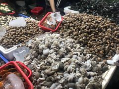 墨鱼仔-都斛海鲜街