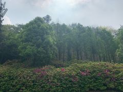 -重庆平顶山公园