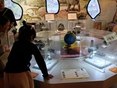 -陕西自然博物馆