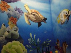 -水晶之星洗浴温泉汗蒸