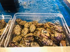 -盒马X会员店(上海森兰商都店)