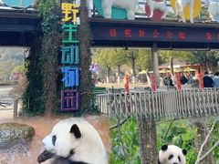 -宁波野生动物园