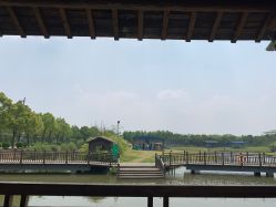 -水八仙生态园
