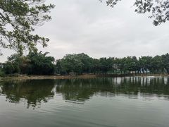 -烟桥古村