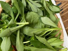 -攀枝花野菜铜火锅(万科凯德店)