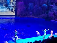 -芜湖新华联大白鲸海洋公园