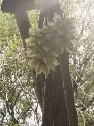 -番禺儿童公园
