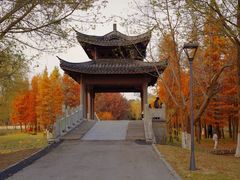 -梁鸿国家湿地公园