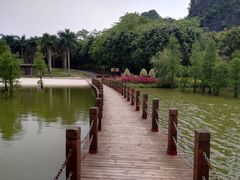 -南宁花花大世界景区