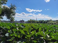 -长春市南湖公园